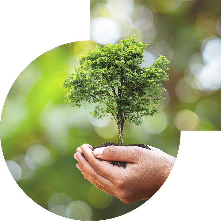 关怀人类、文化、环境与社会